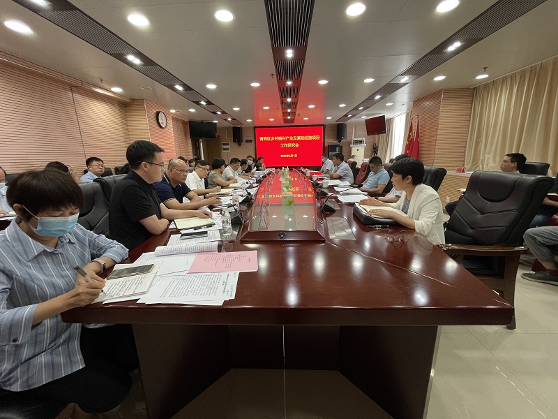 廣西工程咨詢集團(tuán)在青秀區(qū)鄉(xiāng)村振興產(chǎn)業(yè)及基礎(chǔ)設(shè)施項目